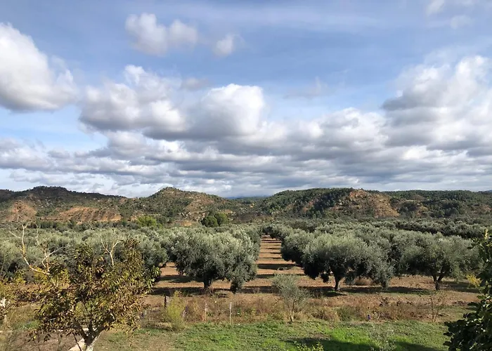 Villa Masia La Sort *